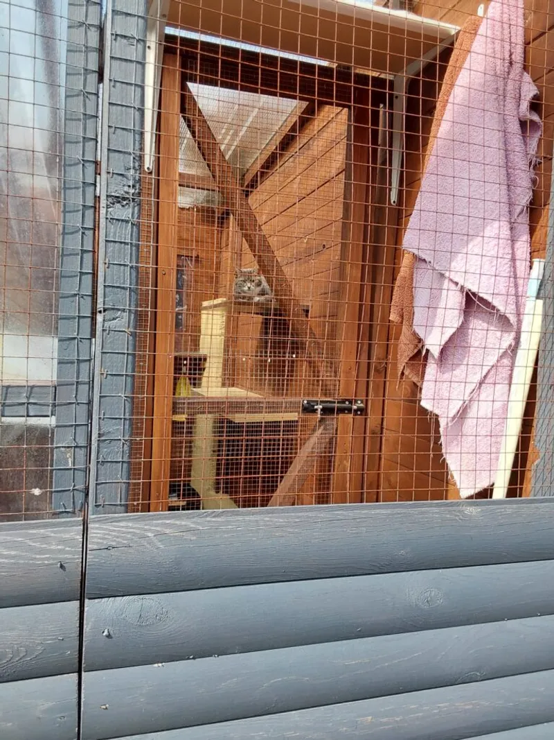 Purr-inn cat pen — photo 10
