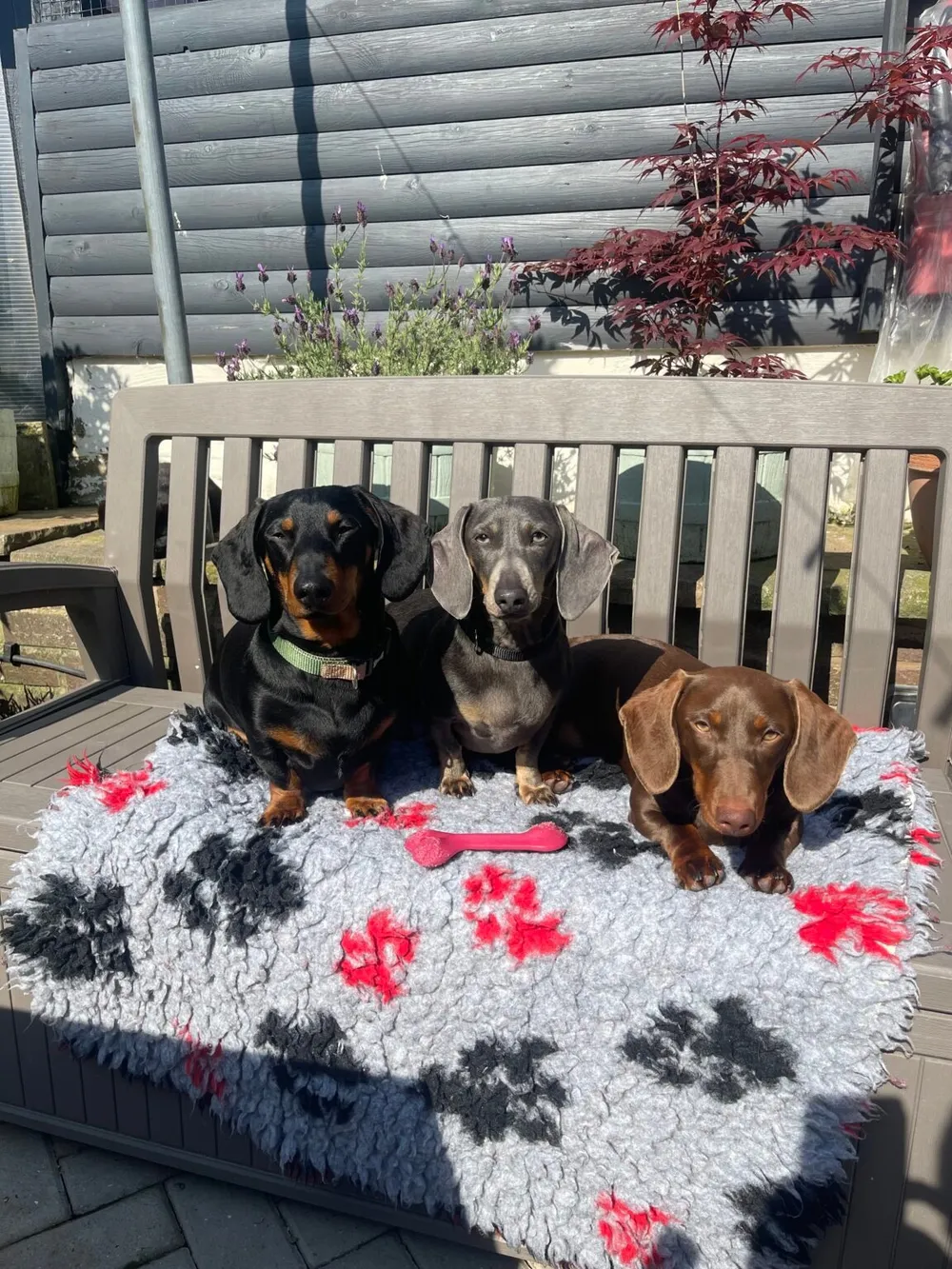 Milo's security team